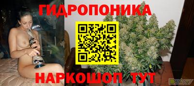 ECSTASY Кандалакша