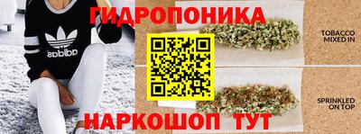 каннабис Камышлов