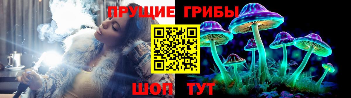 Псилоцибиновые грибы Psilocybine cubensis Лесосибирск